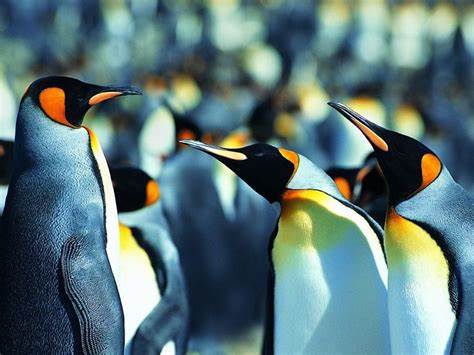 【Linux】Cron表达式